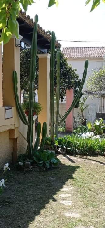 Nymfai Roula'S Houseヴィラ エクステリア 写真